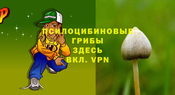 стаф Алексеевка