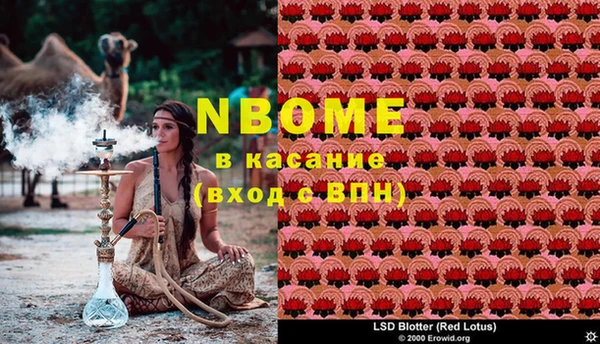 крисы Алзамай