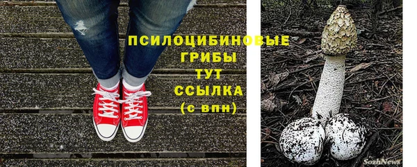 хмурый Абинск