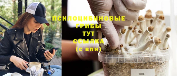 стаф Алексеевка