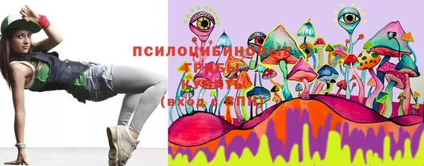 стаф Алексеевка