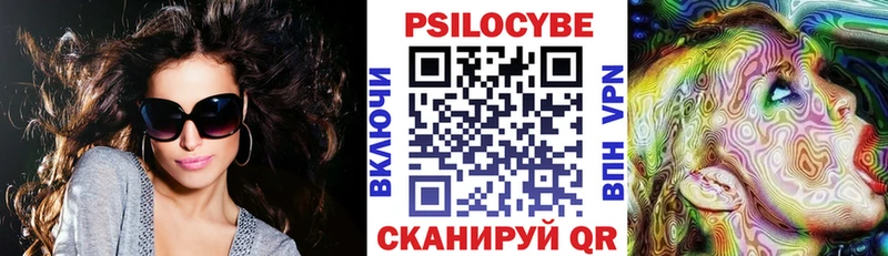 kraken рабочий сайт  сколько стоит  Мегион  Галлюциногенные грибы Psilocybe 